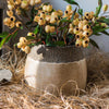 Khaki Coarse Pottery Jar - RusticReach