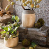 Khaki Coarse Pottery Jar - RusticReach