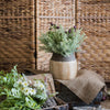 Khaki Coarse Pottery Jar - RusticReach