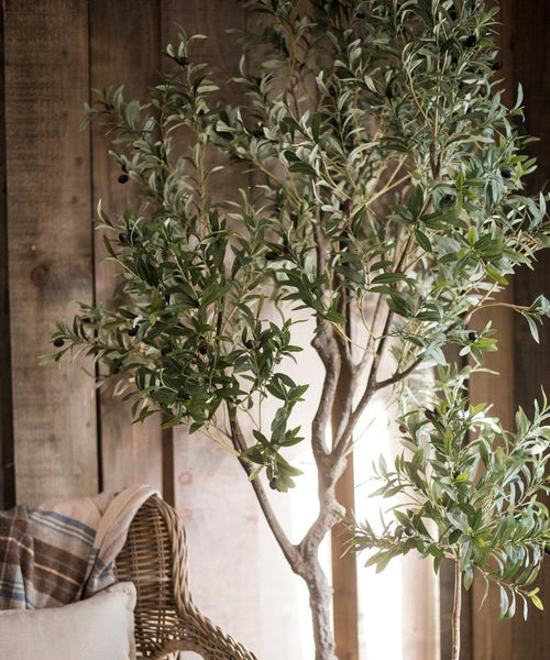 Large Artificial Olive Tree 94 Tall In Pot