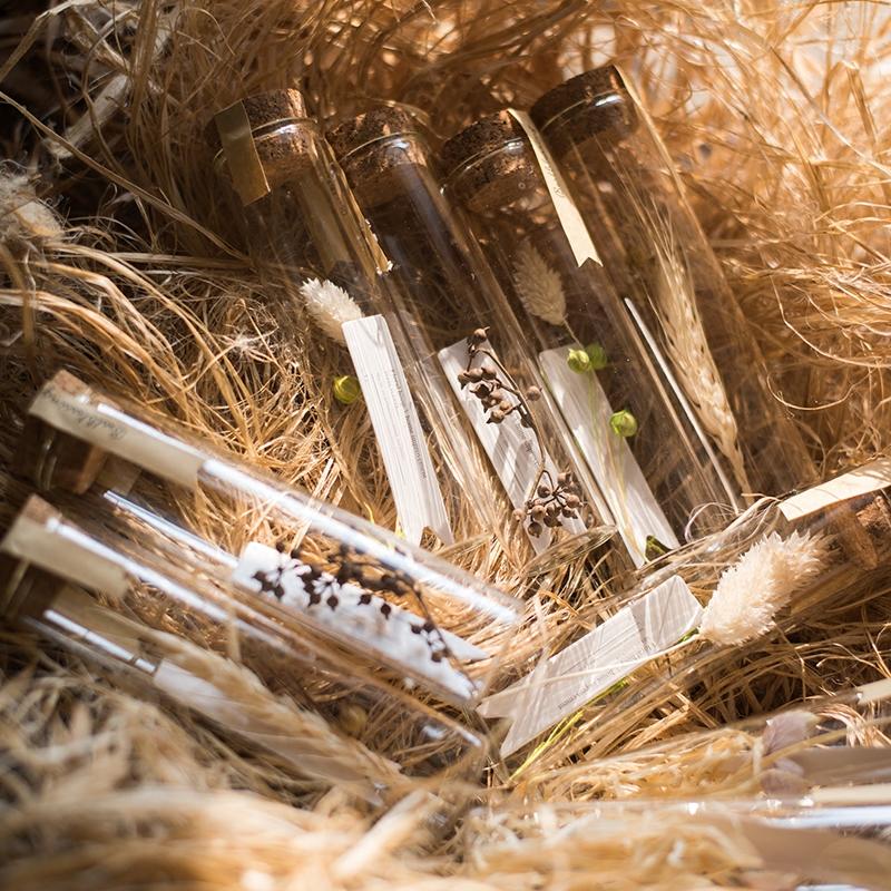 Natural Dried Flower in Glass Tube Randomly Picked Set of 5 - RusticReach