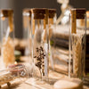 Natural Dried Flower in Glass Tube Randomly Picked Set of 5 - RusticReach