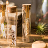 Natural Dried Flower in Glass Tube Randomly Picked Set of 5 - RusticReach