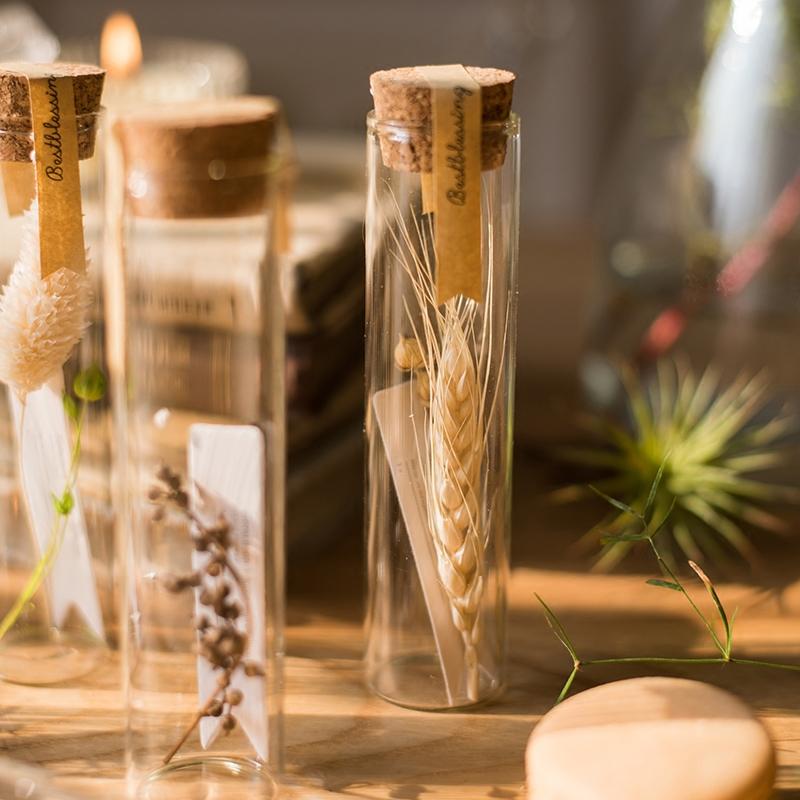 Natural Dried Flower in Glass Tube Randomly Picked Set of 5 - RusticReach