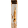 Natural Dried Flower in Glass Tube Randomly Picked Set of 5 - RusticReach