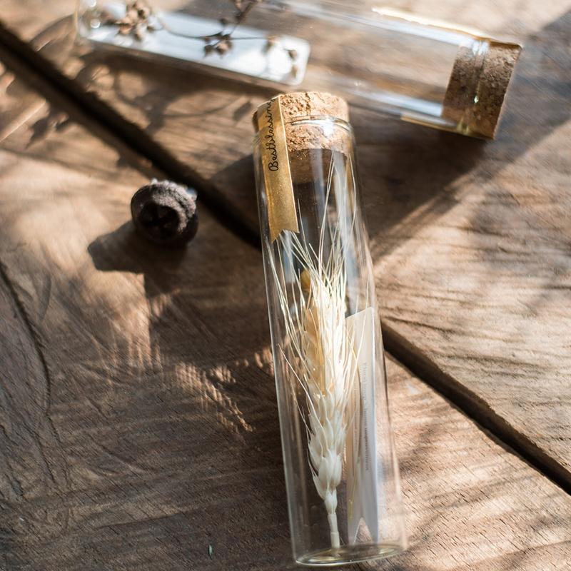 Natural Dried Flower in Glass Tube Randomly Picked Set of 5 - RusticReach