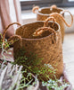 Natural Straw Basket Bag with Rope Handles (Set of 2) - RusticReach