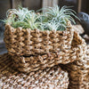 Organic Straw Organizer Storage with Lid - RusticReach