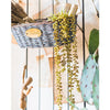 Pearl Hanging Succulent Stem 26" Long - RusticReach