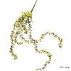 Pearl Hanging Succulent Stem 26" Long - RusticReach