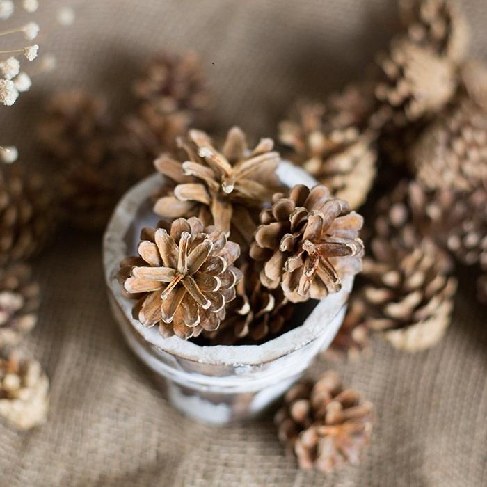 Pine Cone Decoration - RusticReach