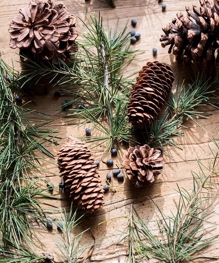 Pine Cone Decoration - RusticReach