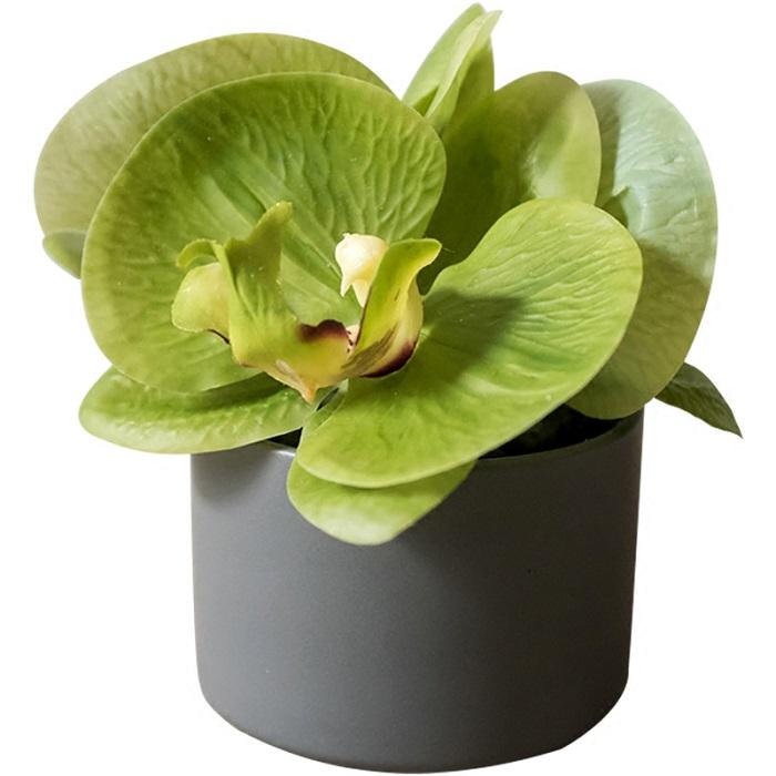 Artificial Faux Flower Mini Real Touch Potted Orchid Green - RusticReach