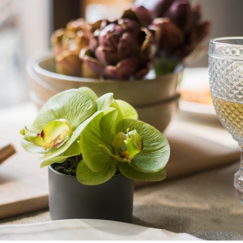 Artificial Faux Flower Mini Real Touch Potted Orchid Green - RusticReach