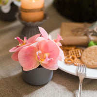 Potted Flower Mini Real Touch Potted Orchid in Peach Pink RusticReach 