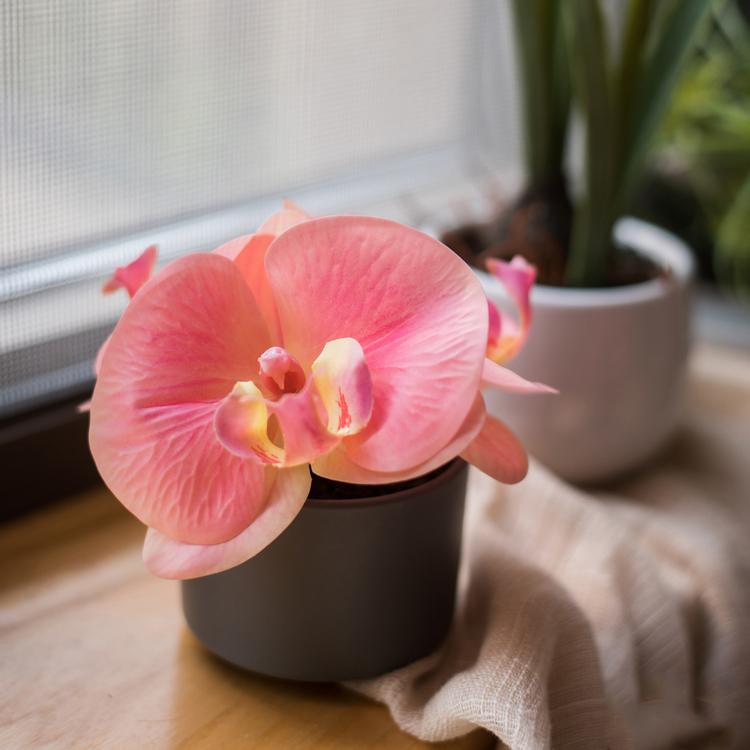 Artificial Flower Mini Real Touch Orchid in Peach Pink - RusticReach