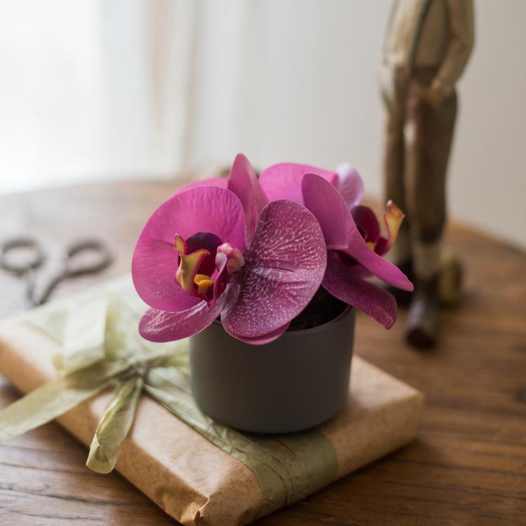 Potted Flower Mini Real Touch Potted Orchid in Purple RusticReach 