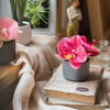 Artificial Potted Mini Real Touch Orchid Velvet Red - RusticReach