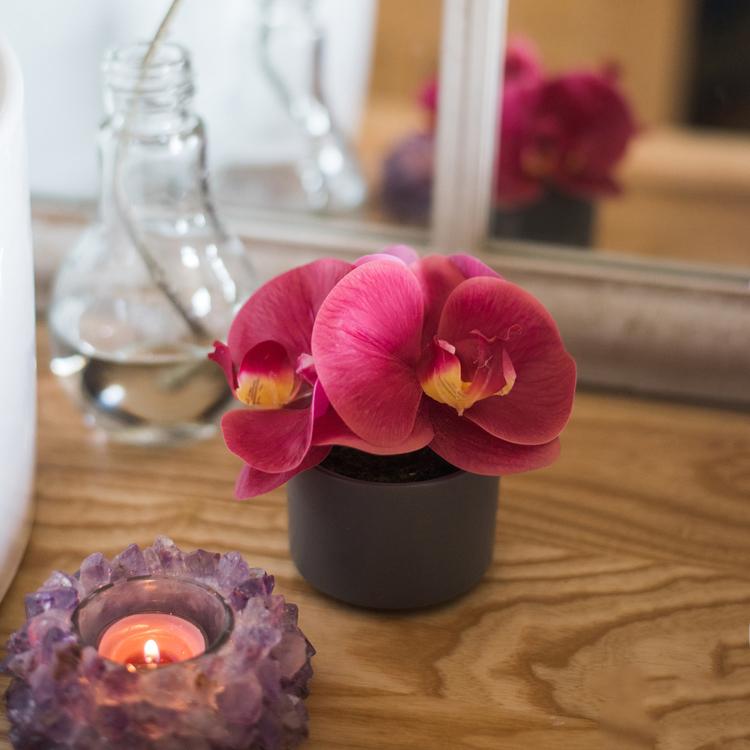 Artificial Potted Mini Real Touch Orchid Velvet Red - RusticReach