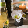 Artificial Flower Mini Real Touch Potted Orchid White - RusticReach