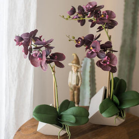products/potted-orchid-arrangement-purple-orchid-rusticreach-258069.jpg