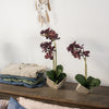 Artificial Silk Orchid Potted Flower Arrangement Purple - RusticReach