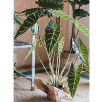 Potted Plant Artificial Alocasia Plant 31" Tall RusticReach 