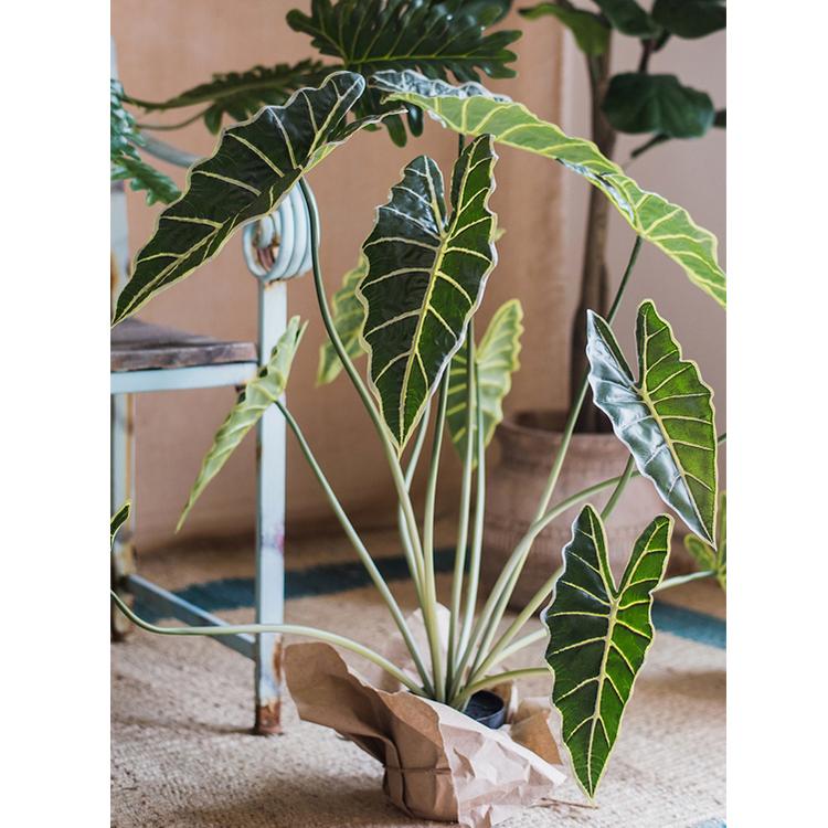 Artificial Faux Alocasia Plant In Pot 31" Tall - RusticReach