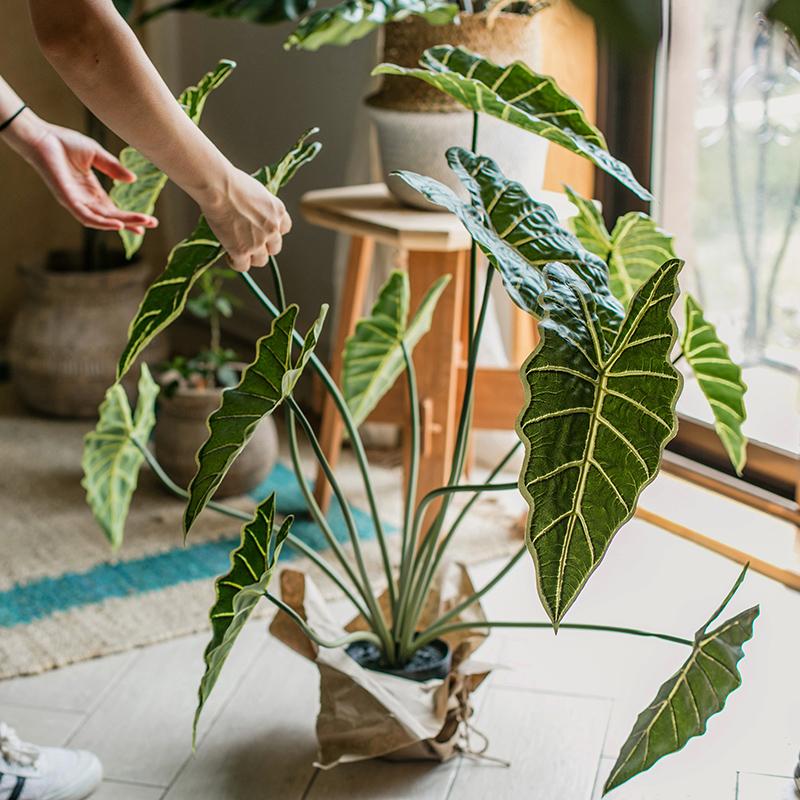 artificial tall potted plants Artificial Faux Alocasia Plant In Pot 31" Tall – RusticReach