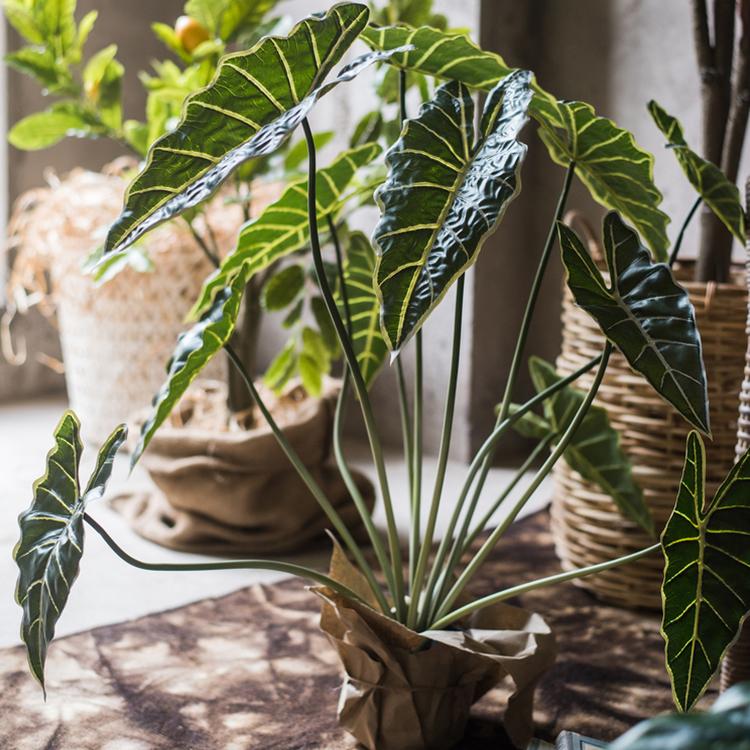 elephant ear faux plant Artificial Faux Alocasia Plant In Pot 31" Tall – RusticReach