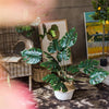 Potted Plant Artificial Turtle Leaf Plant 31" Tall - RusticReach