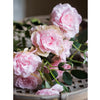 Faux Silk Real Touch Blooming Rose Stem in Pink 25" Tall - RusticReach