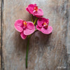 Real Touch Orchid Short Stem in Red and Purple 13" Tall RusticReach 