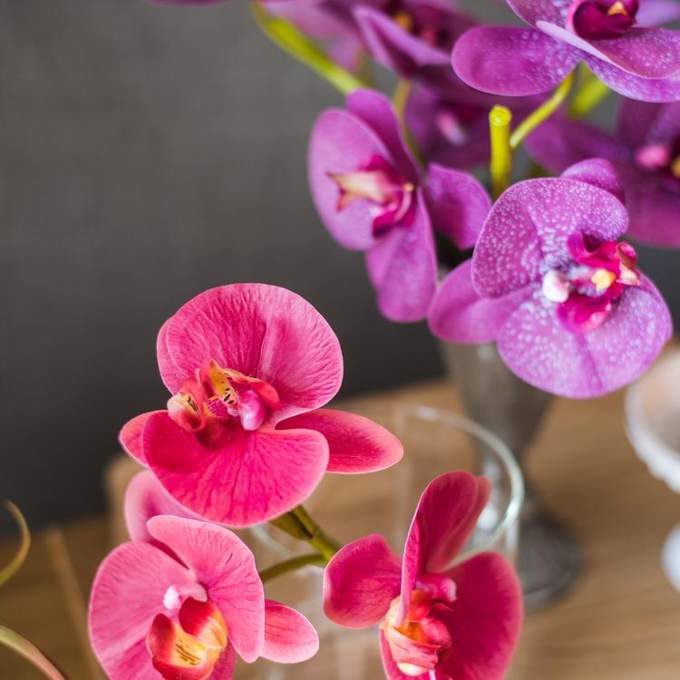 Real Touch Orchid Short Stem in Red and Purple 13" Tall RusticReach 