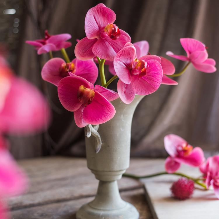 Real Touch Orchid Short Stem in Red and Purple 13" Tall RusticReach 