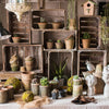 Rectangular Solid Wood Crates - RusticReach