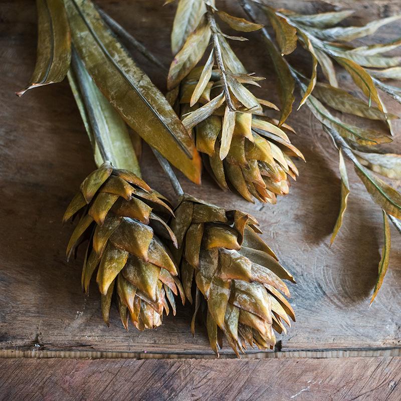 Renaissance Autumn Artificial Dried Flower and Plants Faux - RusticReach