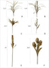 Renaissance Autumn Artificial Dried Flower and Plants Faux - RusticReach