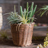 Round Rattan Basket - RusticReach