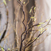 Seed Germination Branch Stem Faux - RusticReach
