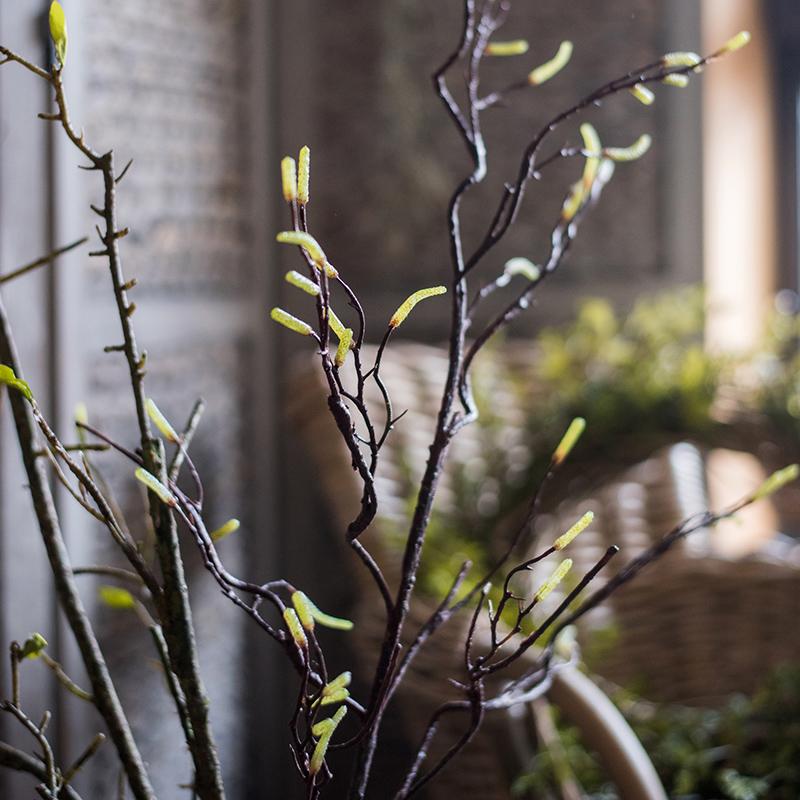 Seed Germination Branch Stem Faux - RusticReach