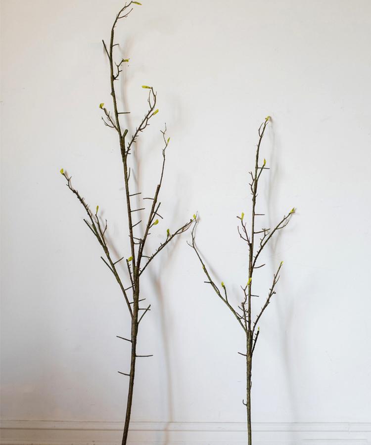 Seed Germination Branch Stem Faux - RusticReach