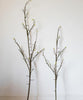 Seed Germination Branch Stem Faux - RusticReach