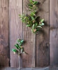 Silk Camellia Flower Leaf Stem in Champagne Pink or Purple - RusticReach
