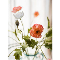 Silk Common Poppy Flower Stem in Pink or White 22" Tall RusticReach 