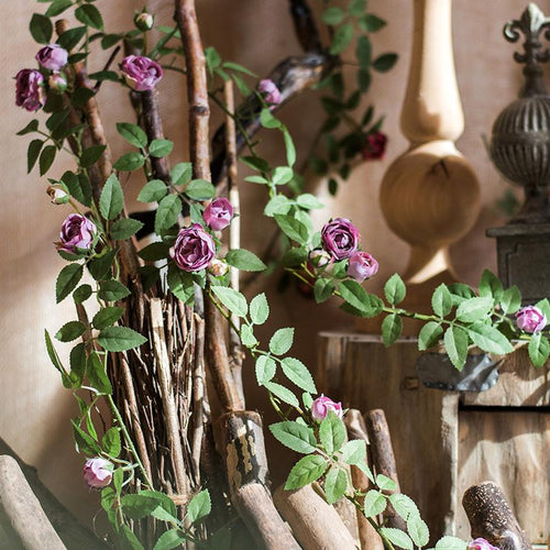 Pin on Rustic Reach Vines Plant