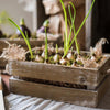 Solid Wood Crate With Rope Handles - RusticReach