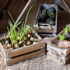 Solid Wood Crate With Rope Handles - RusticReach