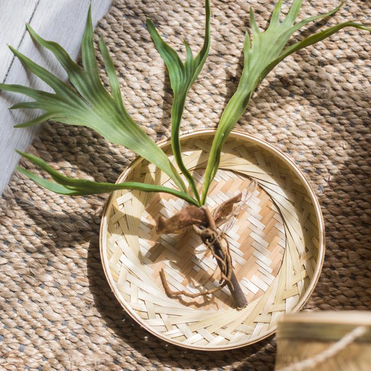Southeast Asia Round Bamboo Tea Box Jar - RusticReach