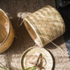 Southeast Asia Round Bamboo Tea Box Jar - RusticReach